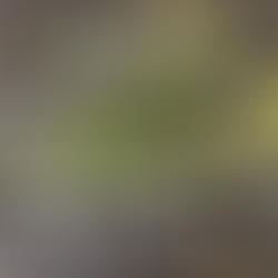 Deflasked Tissue cultures in DIY Prop Box