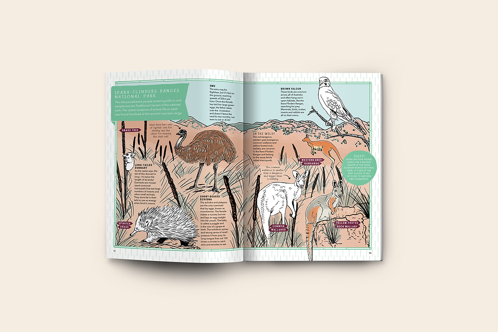 Thumbnail: REWILDING KIDS AUSTRALIA