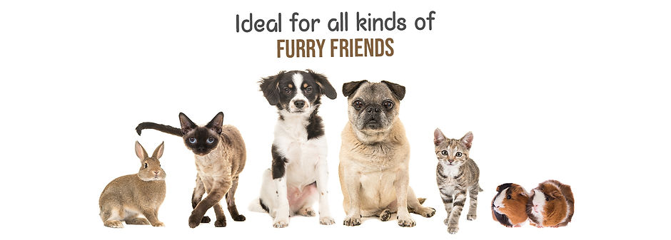 Furry Friends banner.jpg