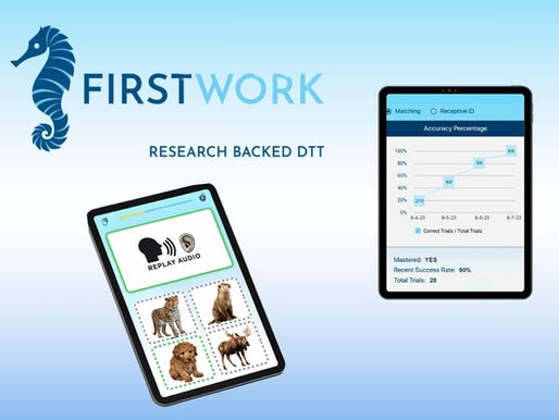 FIRSTWORK DTT app