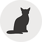 猫.png