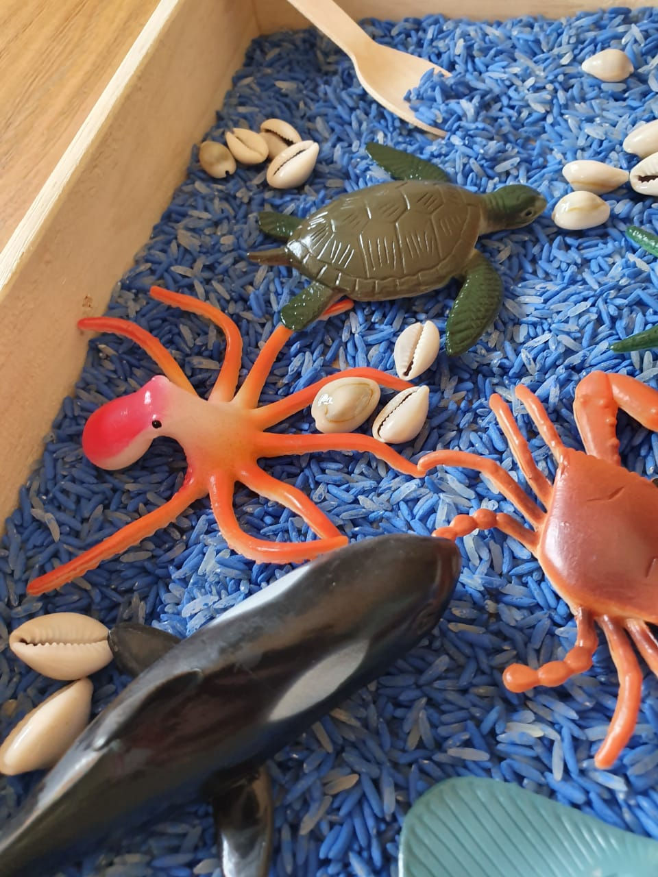 Thumbnail: Sensory Sea Box 