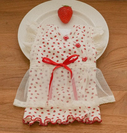 Strawberry Ade Dress