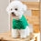 Thumbnail: BENNY'S Classic Collar T-Shirt