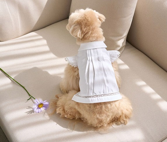 Thumbnail: Its Sunny Outside Angel Blouse (White)