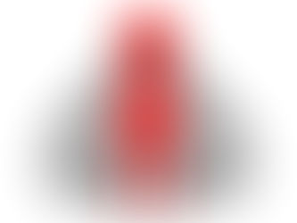 Creating a community education service “City of Darwin Learn4Life program”