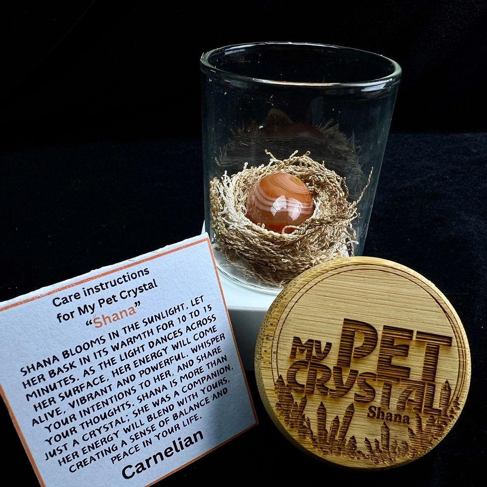 Thumbnail: My Pet Crystal