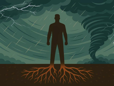 The Bamboo and the Storm: A Personal Story of Remaining Grounded