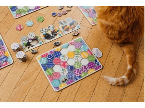 Miniatura: Calico