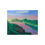 Thumbnail: Serene Dawn Close Up
