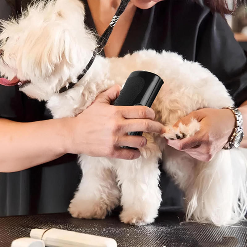 Thumbnail: Professional Pet Deshedding Brush Ergonomic Grooming Brush Multifunctional Dog C