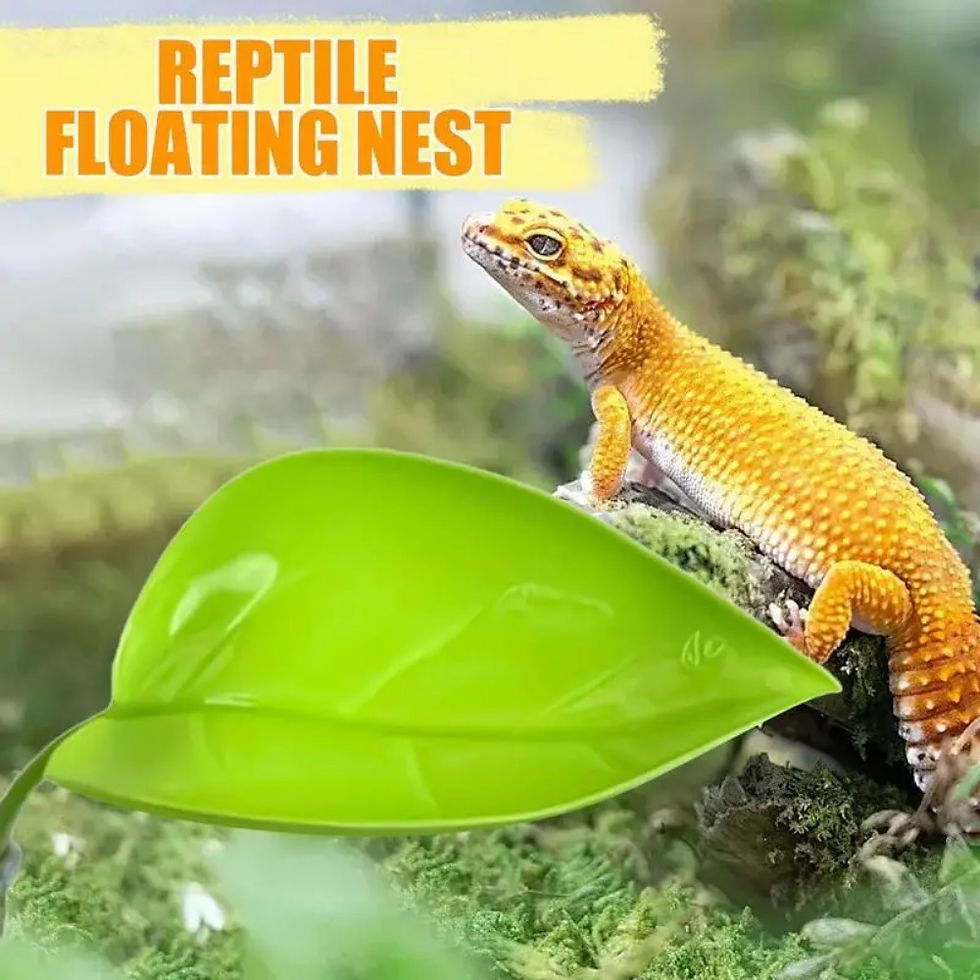 Thumbnail: 2026 Frog Habitat Leaf Suction Cup for Reptiles Basking Area Geckos Resting Terr