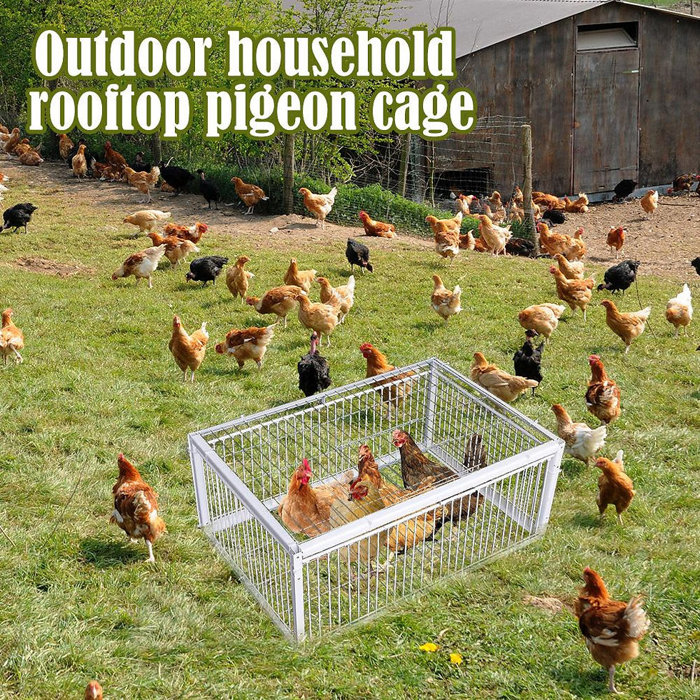Thumbnail: Auto Trap Bird Cage Rabbit Cage Mouse Cage Entry Only No Exit Thickened Encrypte