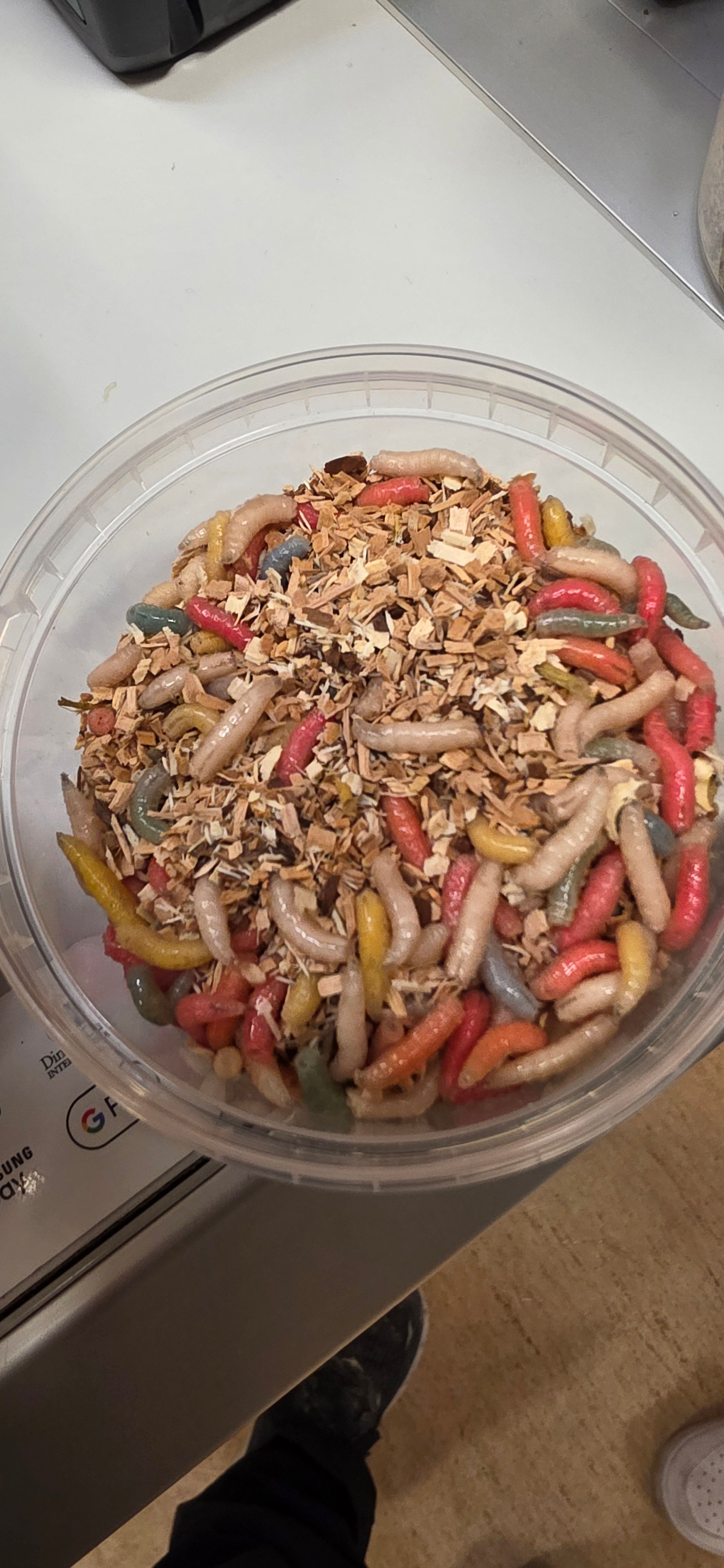 KJOFT-Maggot blandat