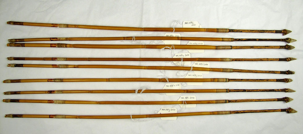 NAI.147(b-j).2010