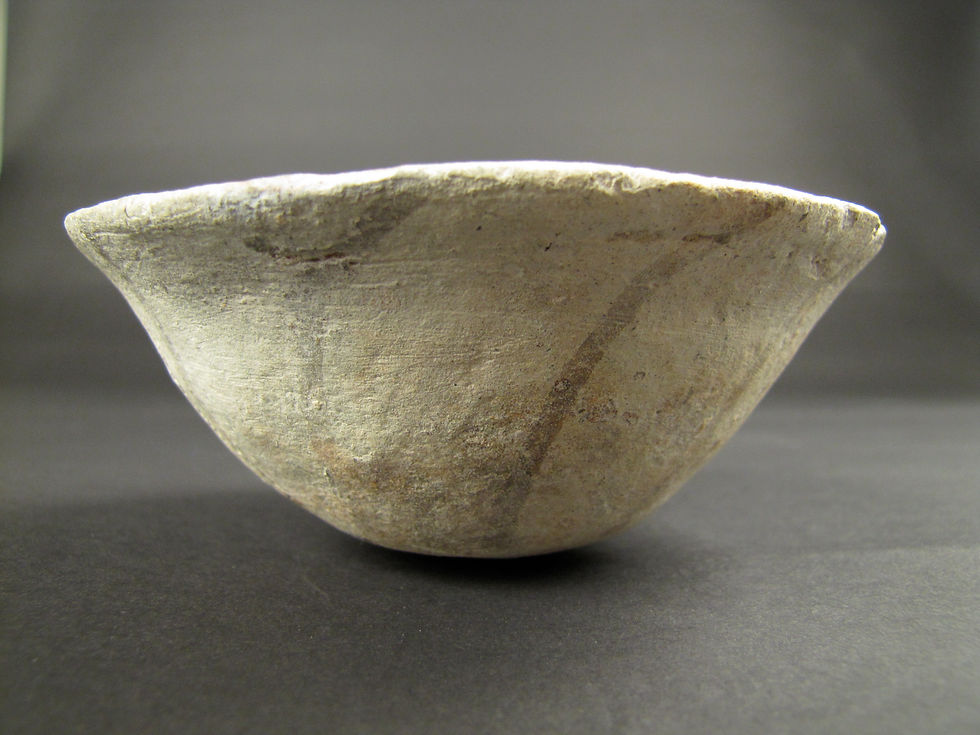 NAI.198.g.2010