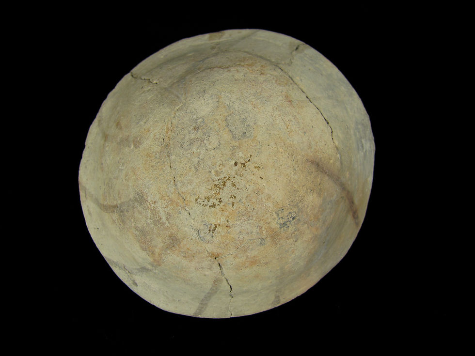 NAI.198.g.2010