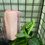 Thumbnail: Cast Sculpt Wrap