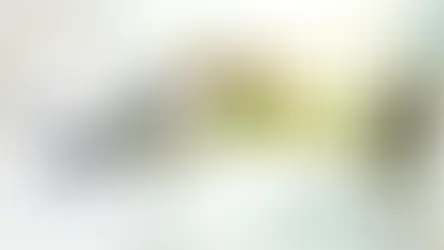 Evaluation of Your Land: How to Do This?