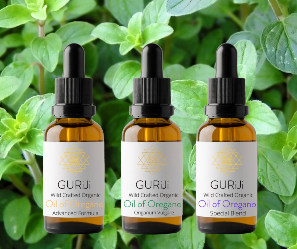 ORGANIC OREGANO OILS