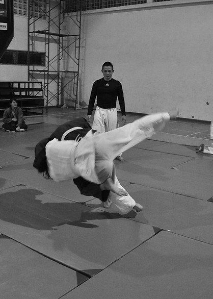 Treinamento de artes marciais