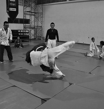 Martial Arts Training