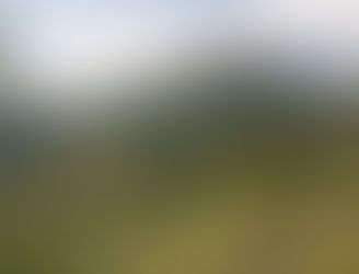 Hallan el vino más antiguo de Italia: tiene 5.000 años