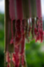 Thumbnail: Merrisaan Pah Kaomar Scarves/Shawls