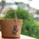Thumbnail: Dok Kaew-Teru Merrisaan Tussle Accessories