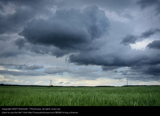 Summer Rains and Forgiving Our Fathers