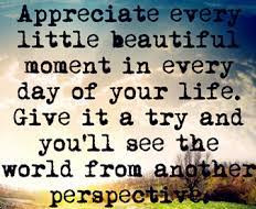 Appreciating the little (and big) things
