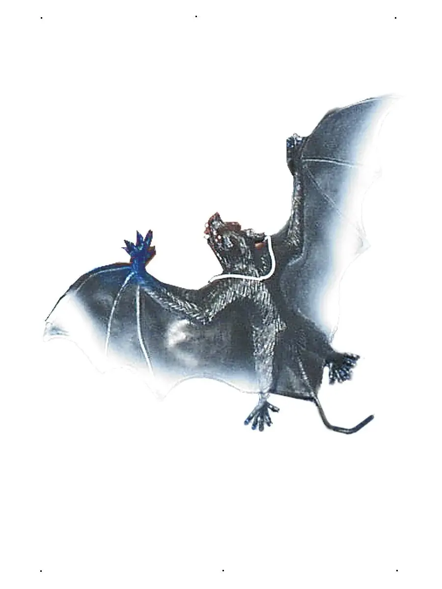 LARGE VAMPIRE BAT