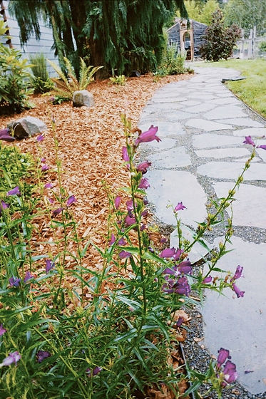 image5.jpeg