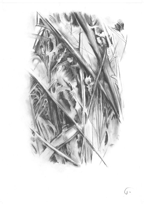 charcoal drawing on paper