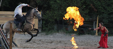 cheval et feu