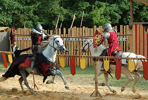 arion-horse-show-spectacle-médieval