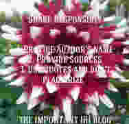 wpid-wp-1409938365402.jpeg