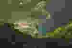 wpid-unsplash_women-in-green_ykvgswa.jpg.jpeg