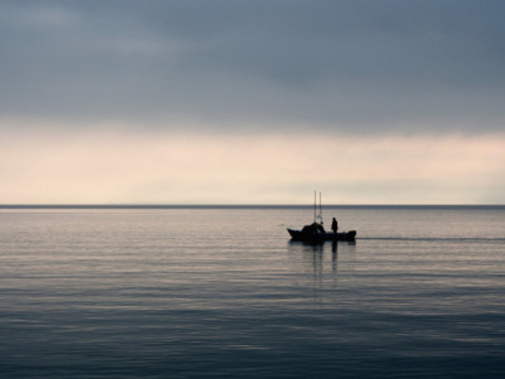 wpid-ian-prince_early-morning-fishing_akznrq.jpg.jpeg