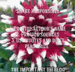 wpid-wp-1409938365402.jpeg