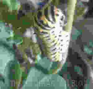 wpid-wp-1411061557314.jpeg