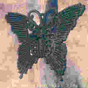 the-butterfly-of-apollo-.jpg.jpeg