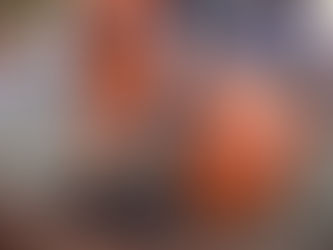 Vila Prudente recebe o plantio de 300 mudas de árvores