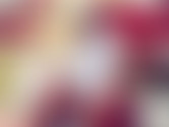 Capezio lança coleção Juju On the Road