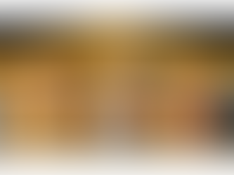 MAM São Paulo anuncia programação de novos cursos online