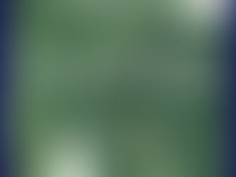 Divino Espaço lança coleção Verdigris