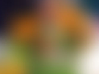 Nova edição do projeto Cooking Lessons traz Mr. Poke