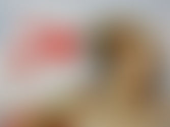 Mulheres são maioria em jogo de buraco online de site brasileiro