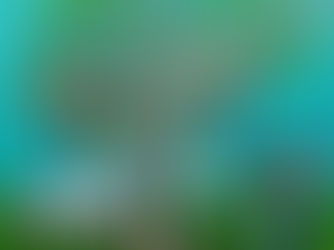 Arte da espontaneidade no Shopping Frei Caneca traz exposição do artista Reynaldo Berto