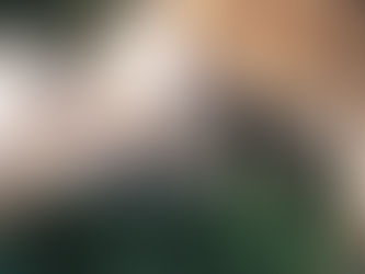 Branding pode ajudar o trabalho de ONGs? Claro que sim!